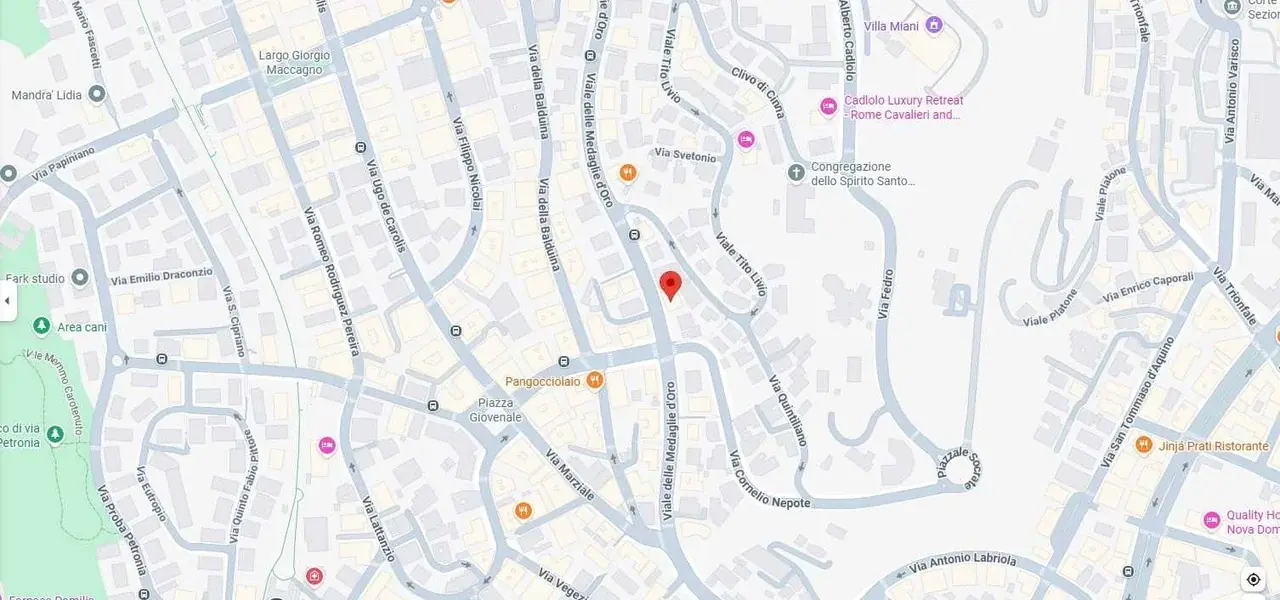 Mappa Google Maps - Ethos Clinica Medica Balduina