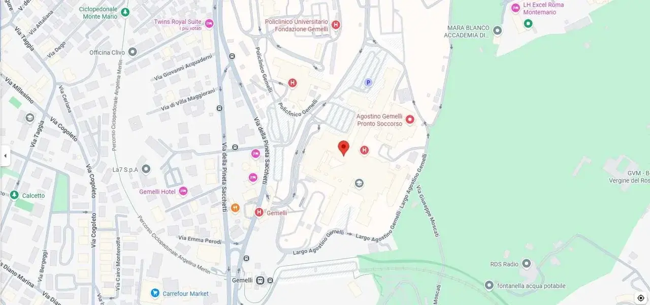 Mappa Google Maps - Fondazione Policlinico Universitario Agostino Gemelli IRCCS