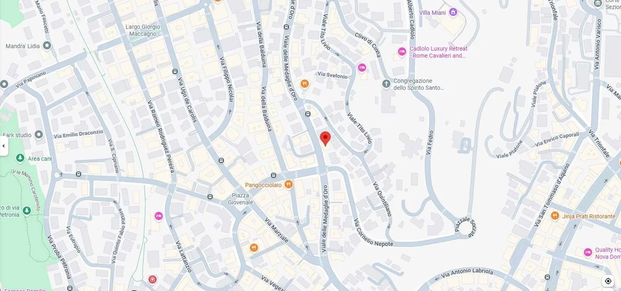 Mappa Google Maps - Ethos Clinica Medica Balduina